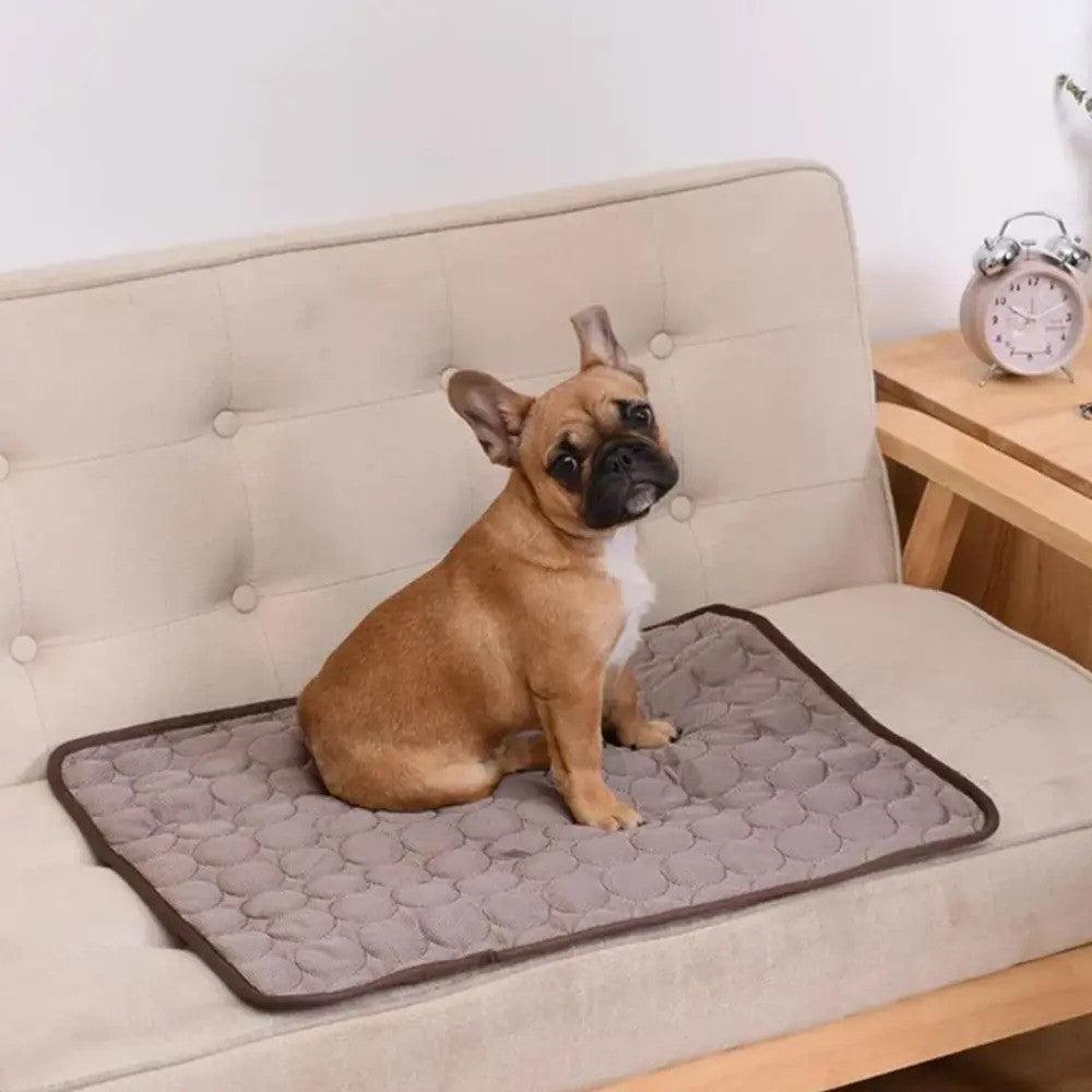 ChillPaw™ | De Ultieme Koelmat voor Huisdieren
