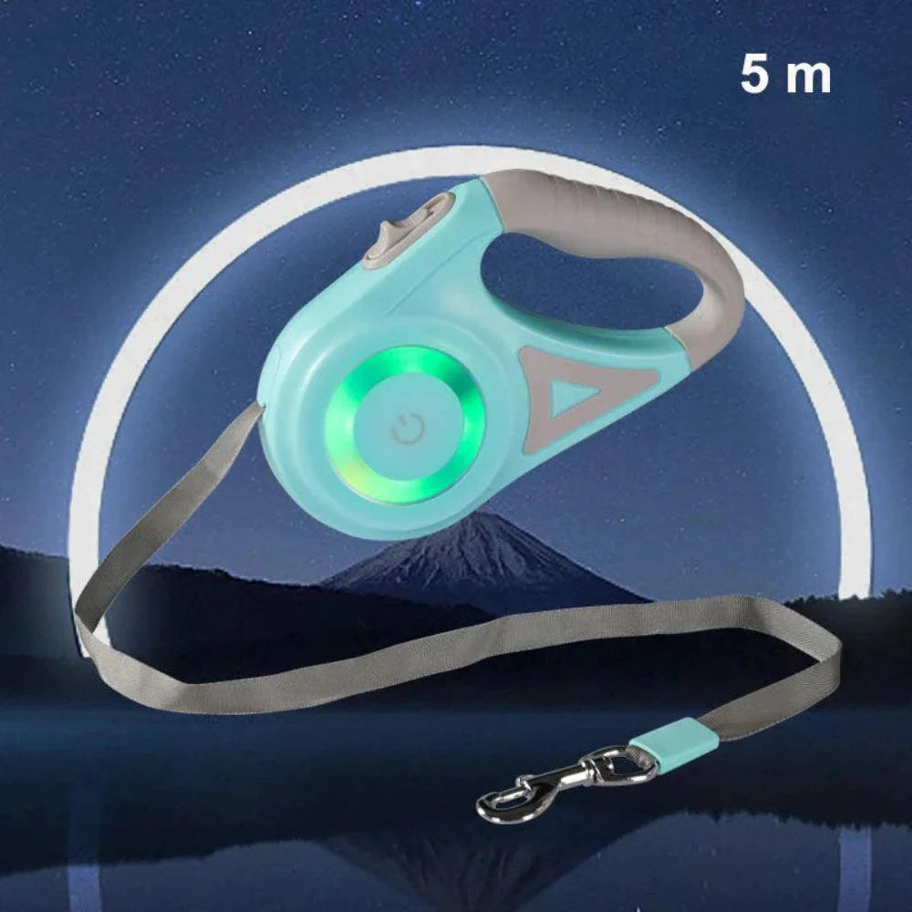 Fido™ GlowLeash LED Dog Leash