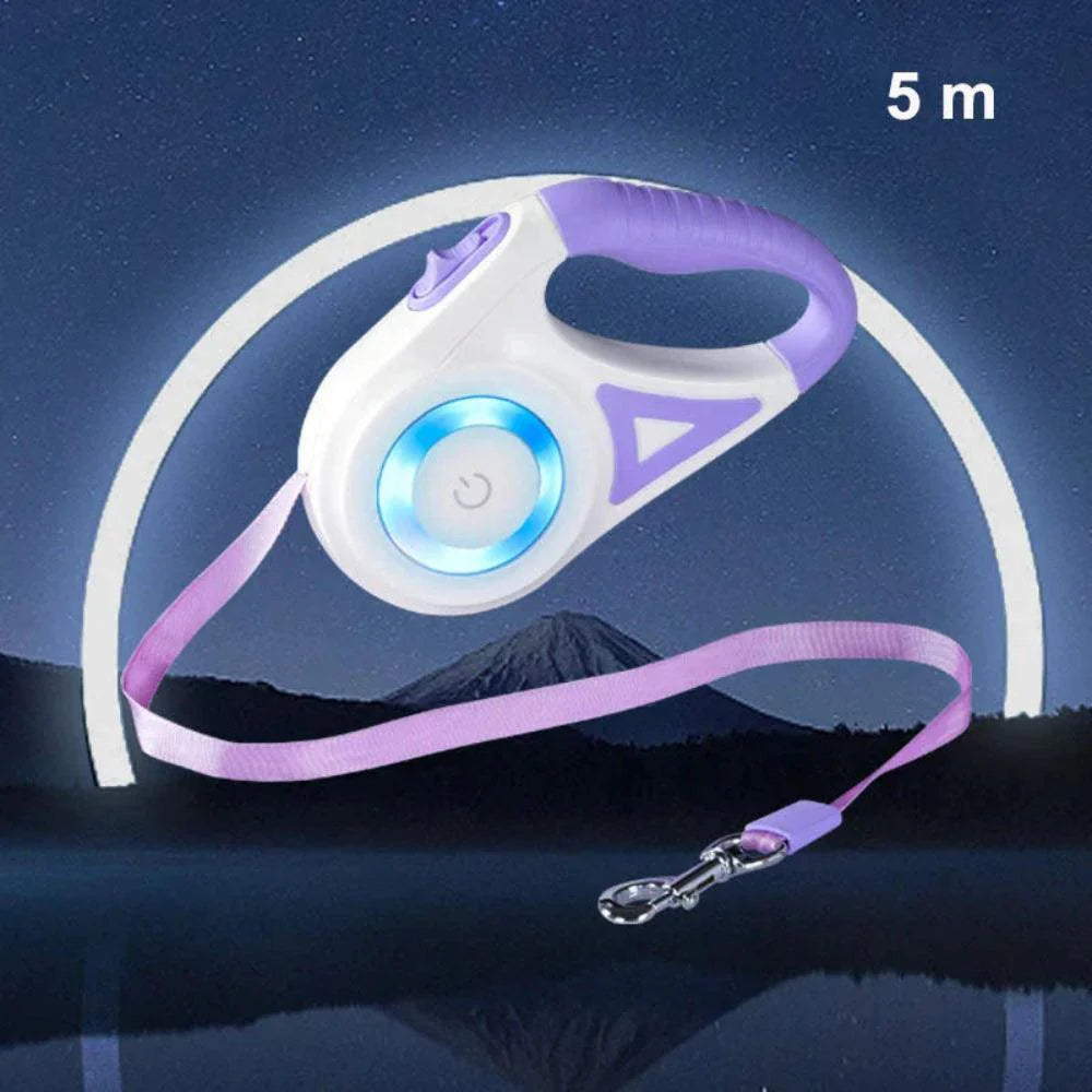 Fido™ GlowLeash LED Dog Leash
