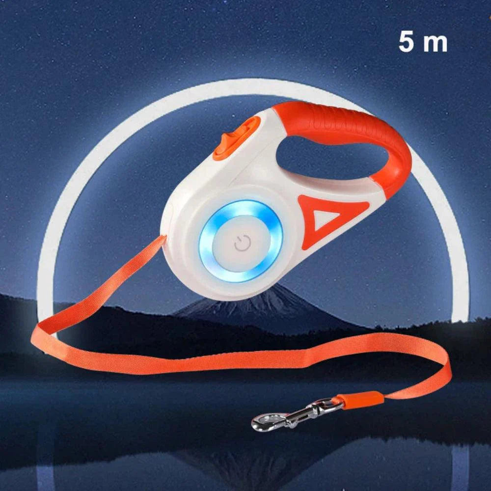 Fido™ GlowLeash LED Dog Leash