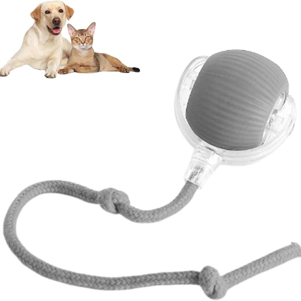 FurryFun™ Interactive Pet Playball